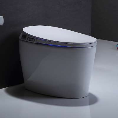 ZP-101 White Water Saving One Piece Bathroom Ceramic Intelligent wc Smart Toilet